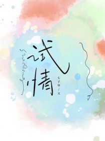 试情