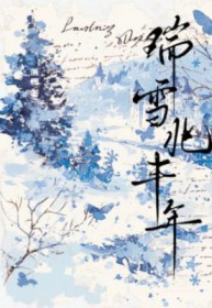 瑞雪兆丰年