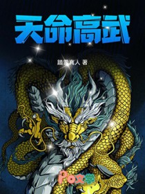 天命高武