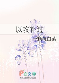 以攻补过
