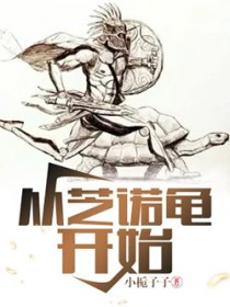 从芝诺龟开始
